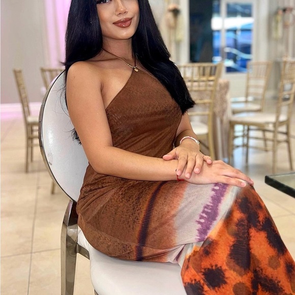 ZARA Tulle Bloggers Favorite Halter Maxi open back Dress Brown Open Back NWT - Picture 5 of 11